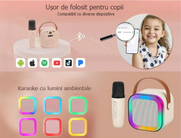 Mini karaoke pentru petreceri